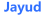 Jayud Global Logistics logo